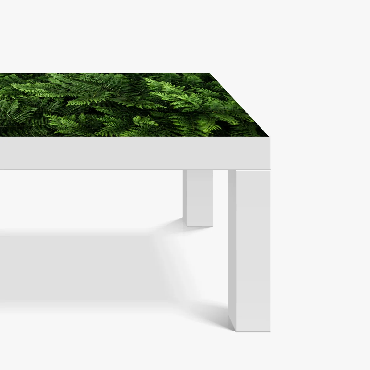 Tischaufkleber und Schreibtischaufkleber üppiges grünes farnlaub Tischaufkleber und Schreibtischaufkleber üppiges grünes farnlaub