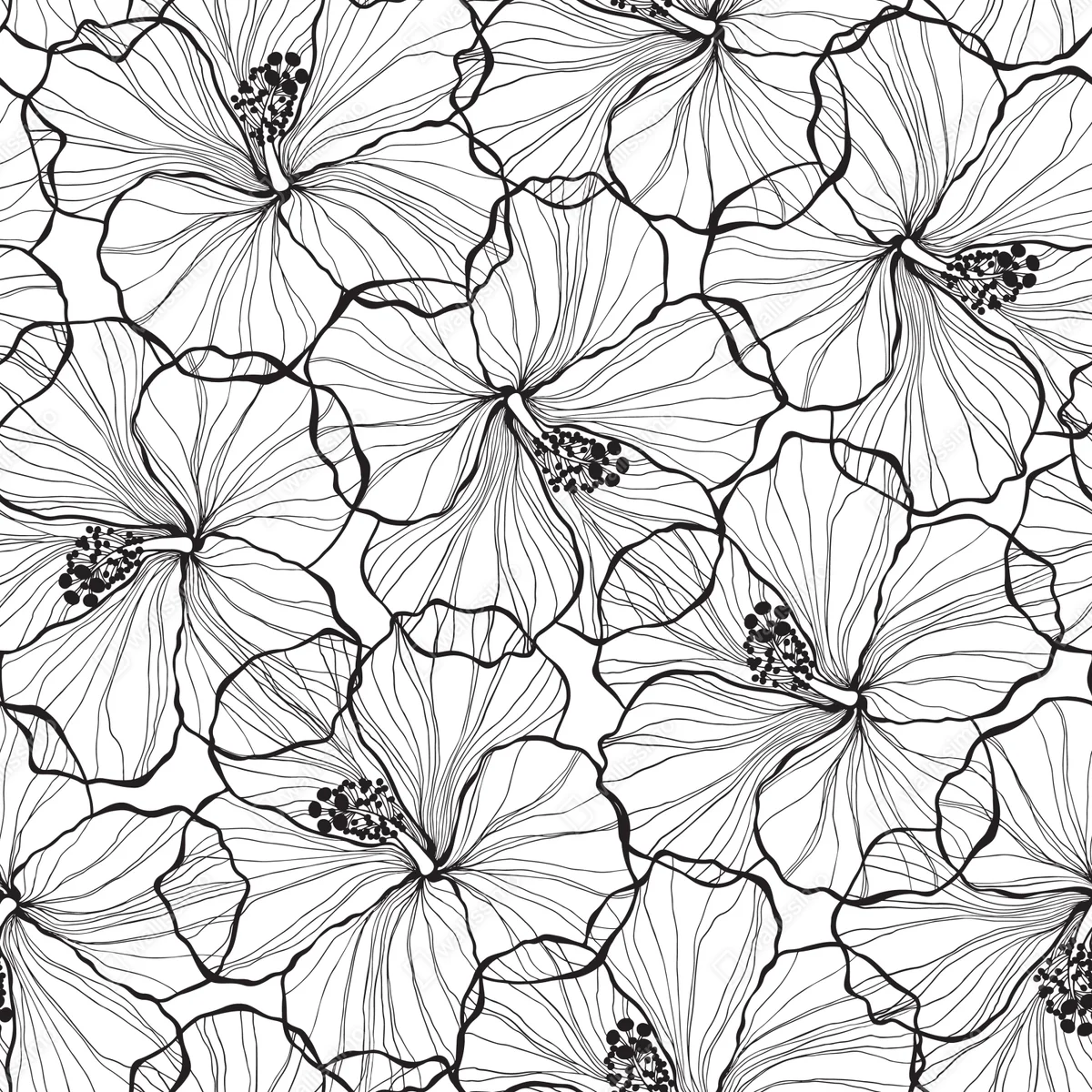 Türaufkleber schwarzweißes hibiskus line art muster Türaufkleber schwarzweißes hibiskus line art muster