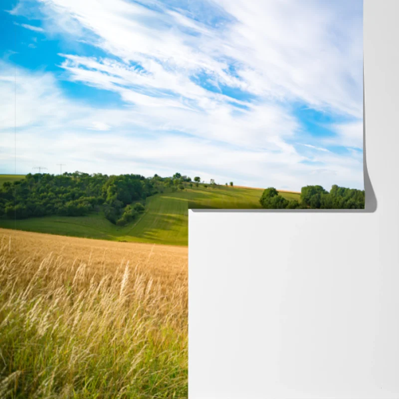 Fototapete morgendliche weizenlandschaft in Kansas Fototapete morgendliche weizenlandschaft in Kansas