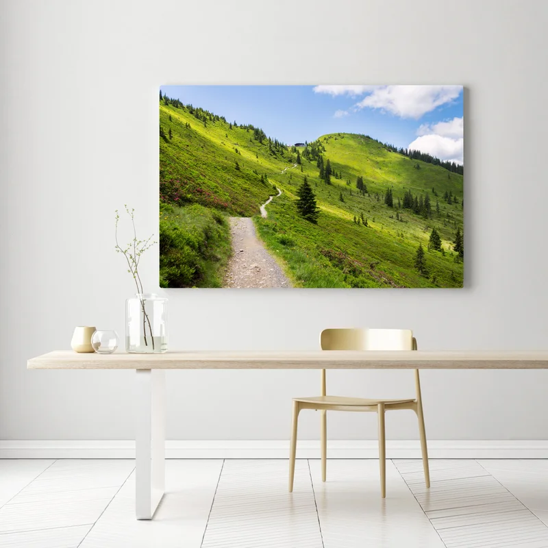 Leinwandbild sonniger bergpfad durch grüne wiese Leinwandbild sonniger bergpfad durch grüne wiese
