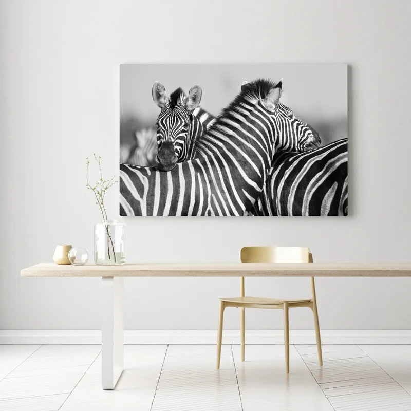 Leinwandbild verschlungene zebras in monochrom Leinwandbild verschlungene zebras in monochrom