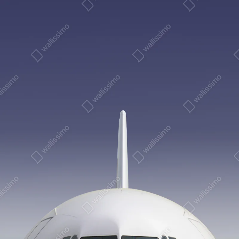 Poster frontansicht eines flugzeugs vor blauem himmel Poster frontansicht eines flugzeugs vor blauem himmel