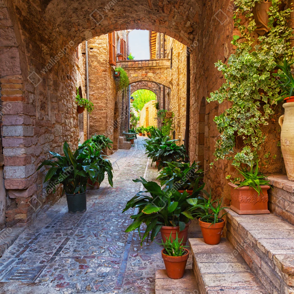 Fototapete sonnige gasse mit blumentöpfen in Spello Fototapete sonnige gasse mit blumentöpfen in Spello