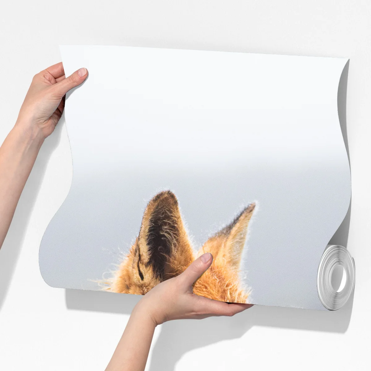 Fototapete roter fuchs in nebliger landschaft Fototapete roter fuchs in nebliger landschaft