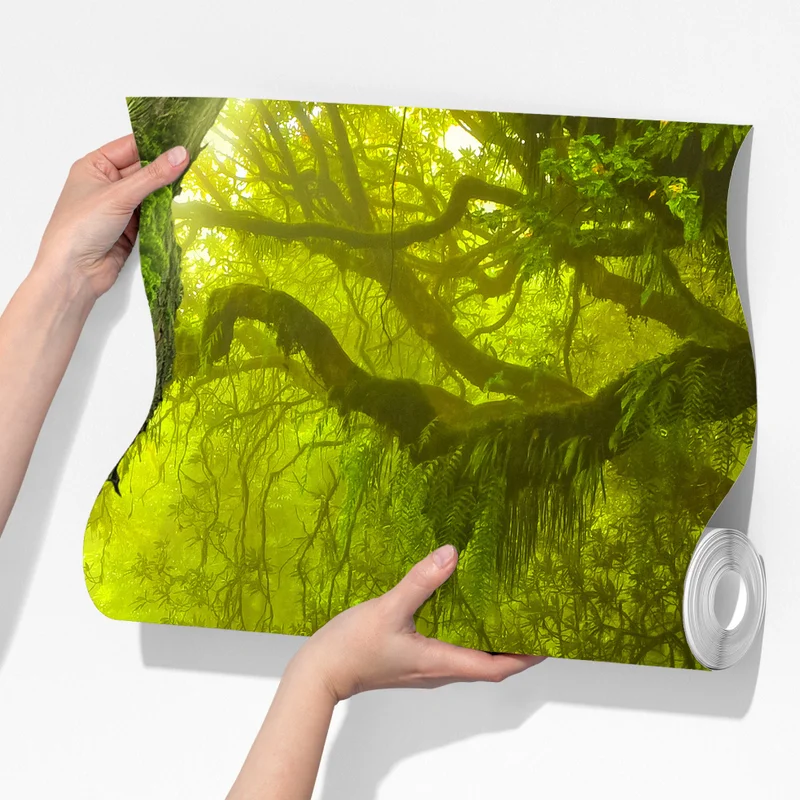 Fototapeta mistyczna zielona ścieżka w lesie Fototapeta mistyczna zielona ścieżka w lesie