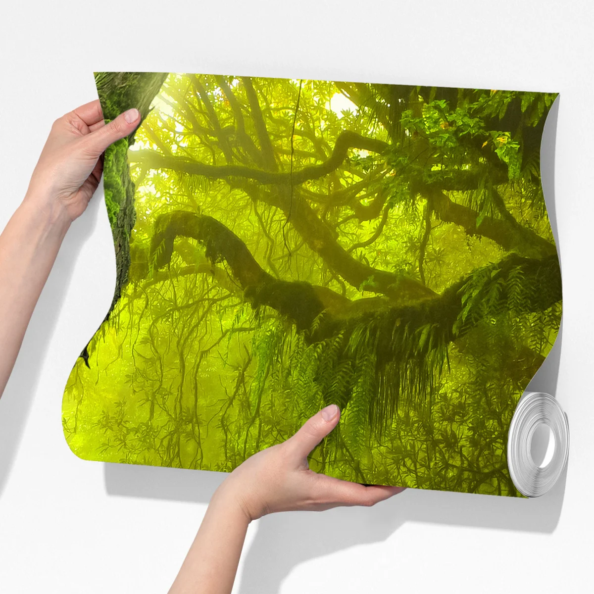 Fototapeta mistyczna zielona ścieżka w lesie Fototapeta mistyczna zielona ścieżka w lesie