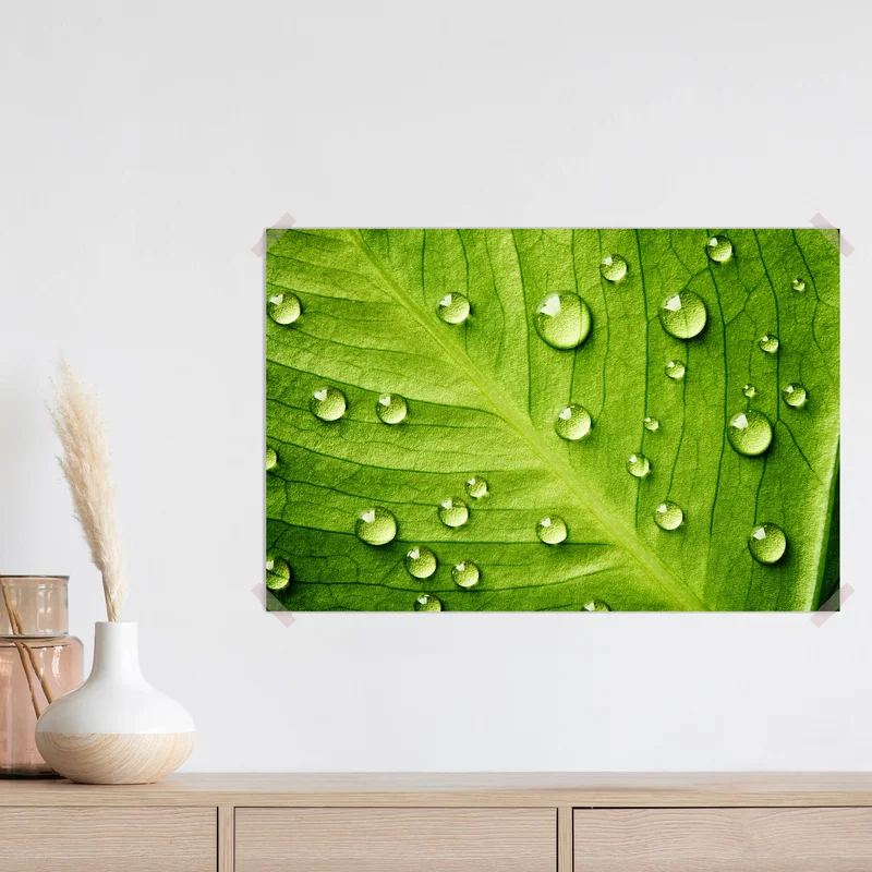 Poster frisches grünes blatt mit wassertropfen Poster frisches grünes blatt mit wassertropfen