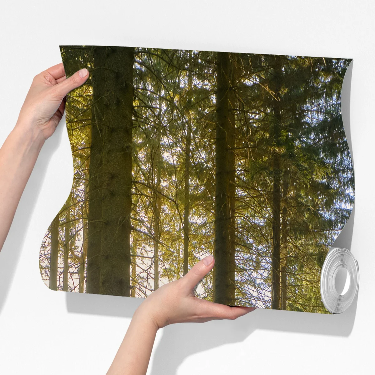 Fototapete sonniger waldweg im morgenlicht Fototapete sonniger waldweg im morgenlicht