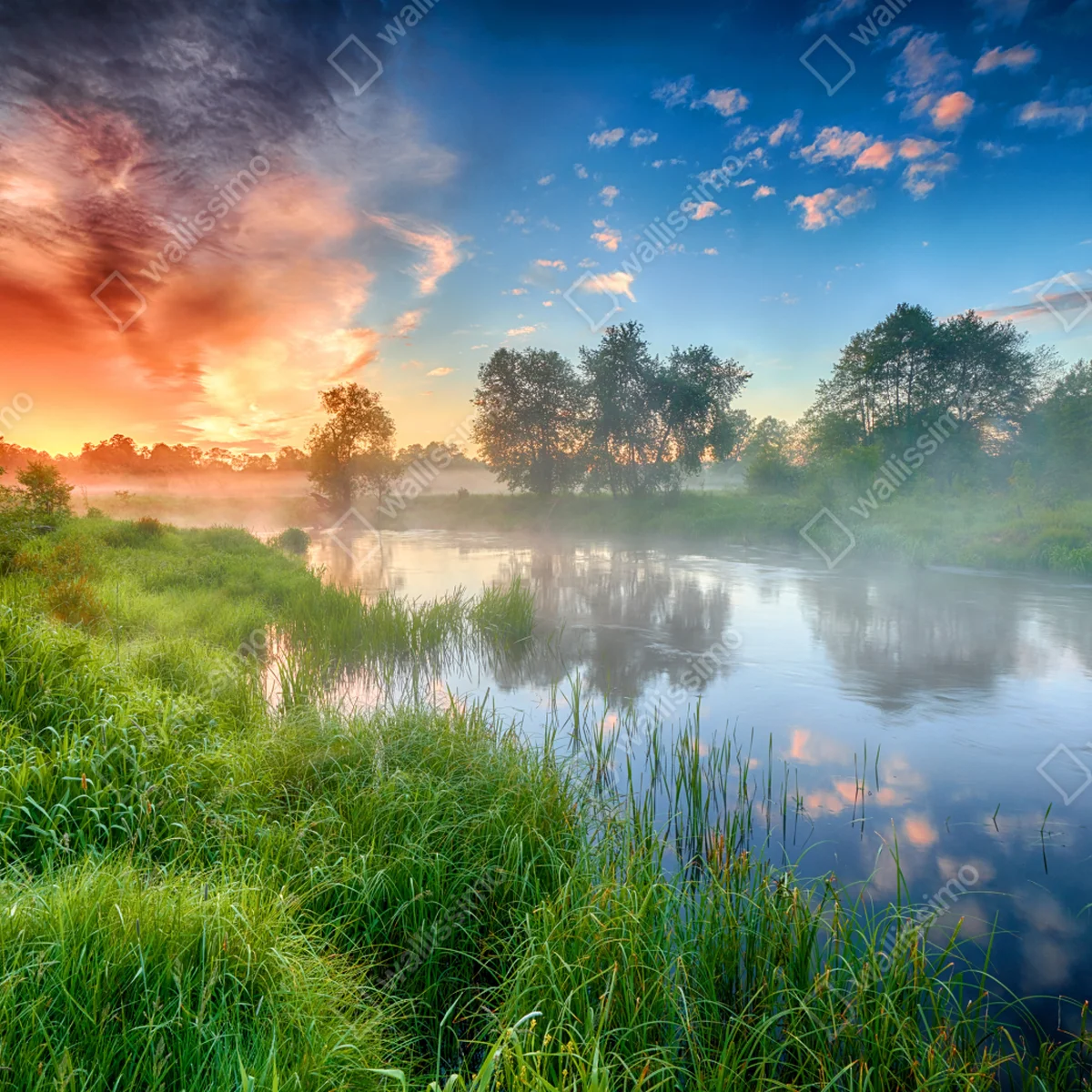 Fototapete nebel bei sonnenaufgang am flussufer Fototapete nebel bei sonnenaufgang am flussufer