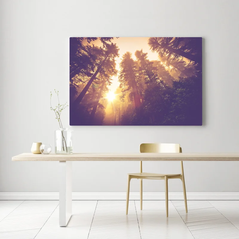 Leinwandbild nebeliger mamutbaumwald im goldenen vintagelicht Leinwandbild nebeliger mamutbaumwald im goldenen vintagelicht