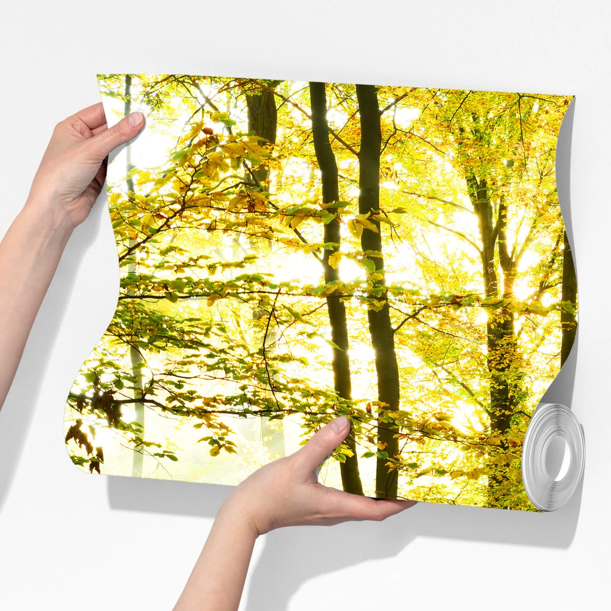 Fototapete goldener herbstwald am morgen Fototapete goldener herbstwald am morgen