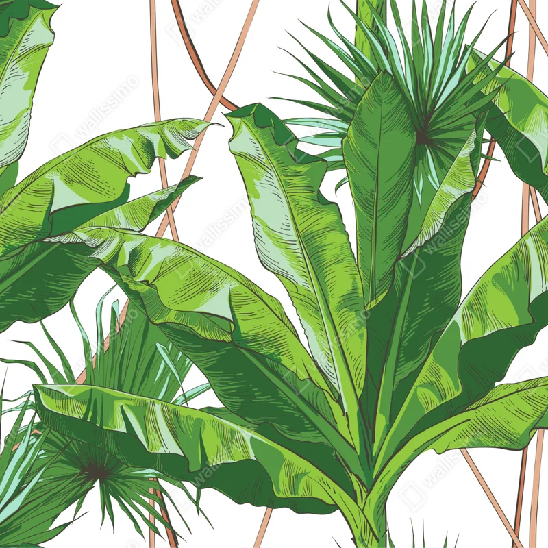 Fototapeta bujny wzór liści bananowca Fototapeta bujny wzór liści bananowca