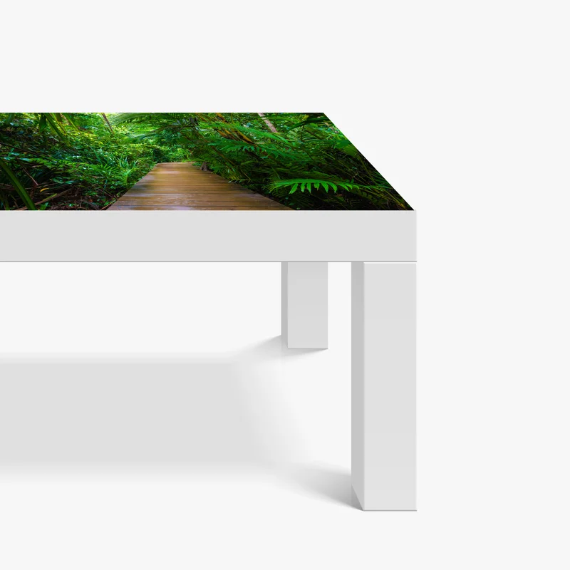 Tischaufkleber und Schreibtischaufkleber mangrovensteg durch üppigen grünen dschungel Tischaufkleber und Schreibtischaufkleber mangrovensteg durch üppigen grünen dschungel