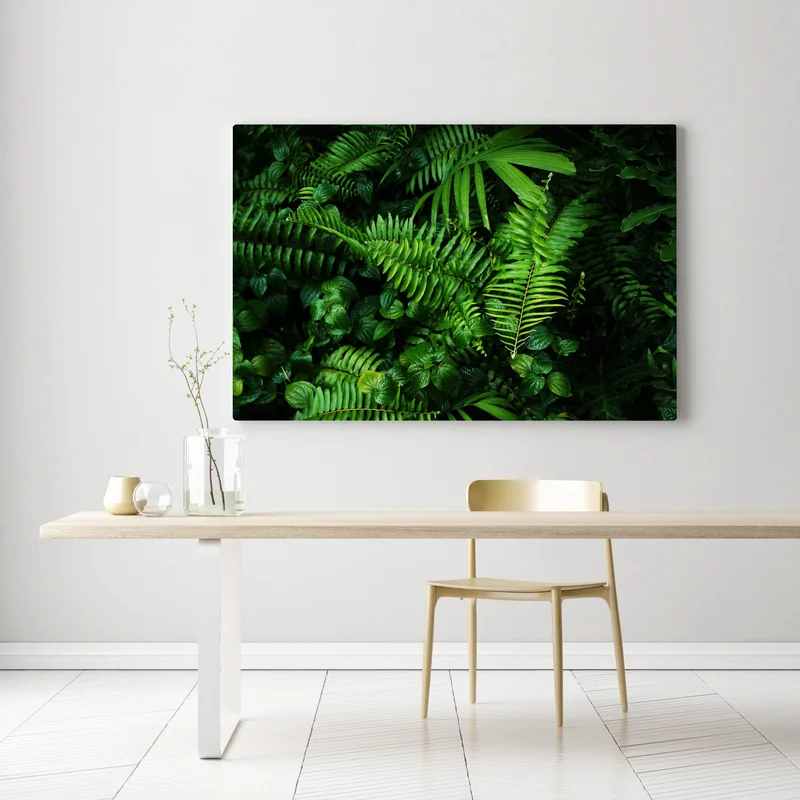 Leinwandbild üppige tropische farnblätter Leinwandbild üppige tropische farnblätter