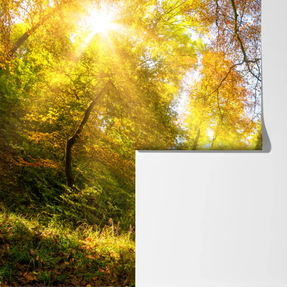 Fototapeta złota jesienna ścieżka przez las Fototapeta złota jesienna ścieżka przez las