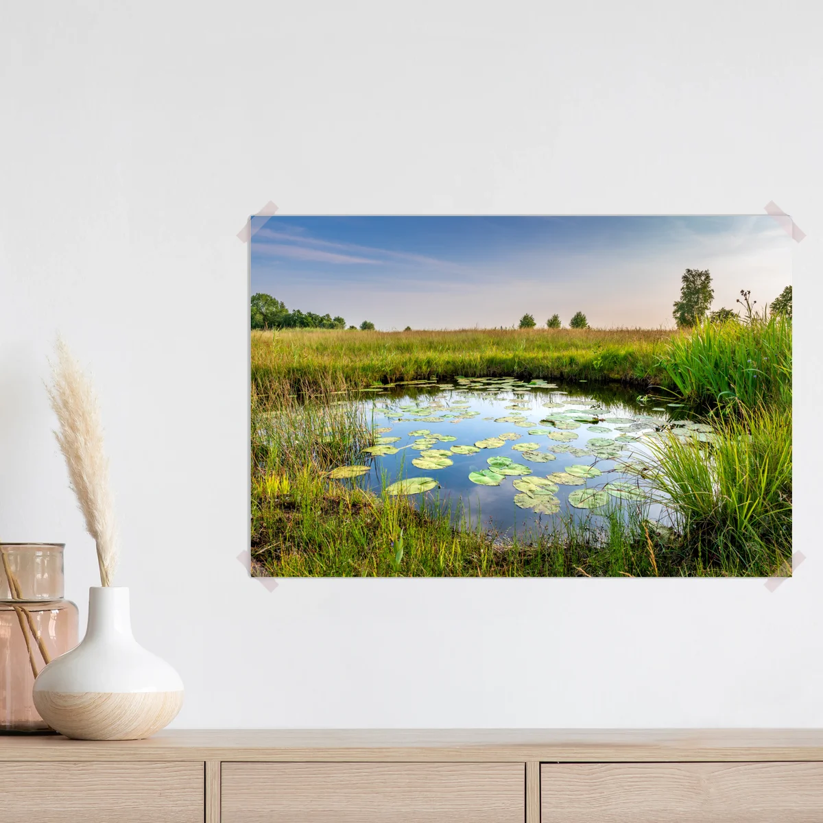 Poster ruhiger seerosen-teich in der wiese Poster ruhiger seerosen-teich in der wiese