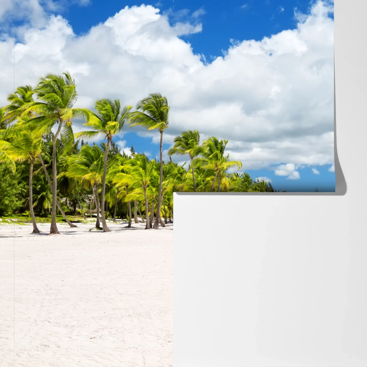 Fototapeta tropikalna plaża w Punta Cana Fototapeta tropikalna plaża w Punta Cana