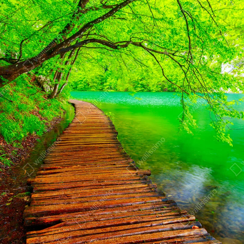 Naklejka na okno spokojny zielony pomost nad jeziorem Naklejka na okno spokojny zielony pomost nad jeziorem