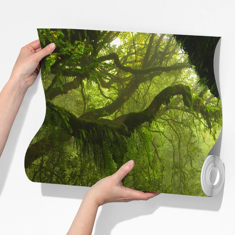 Fototapete verwunschener moosiger waldpfad Fototapete verwunschener moosiger waldpfad