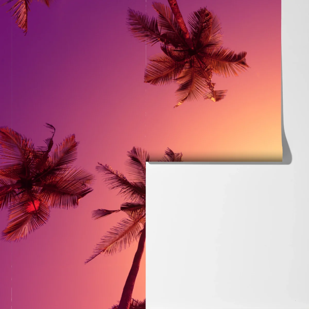 Fototapeta tropikalny zachód słońca z sylwetkami palm Fototapeta tropikalny zachód słońca z sylwetkami palm