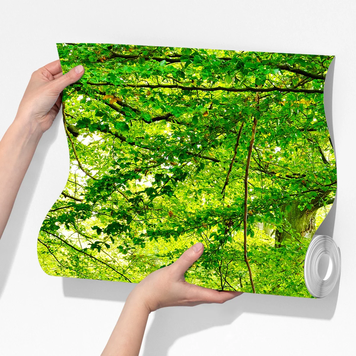 Fototapeta spokojna zielona leśna ścieżka Fototapeta spokojna zielona leśna ścieżka