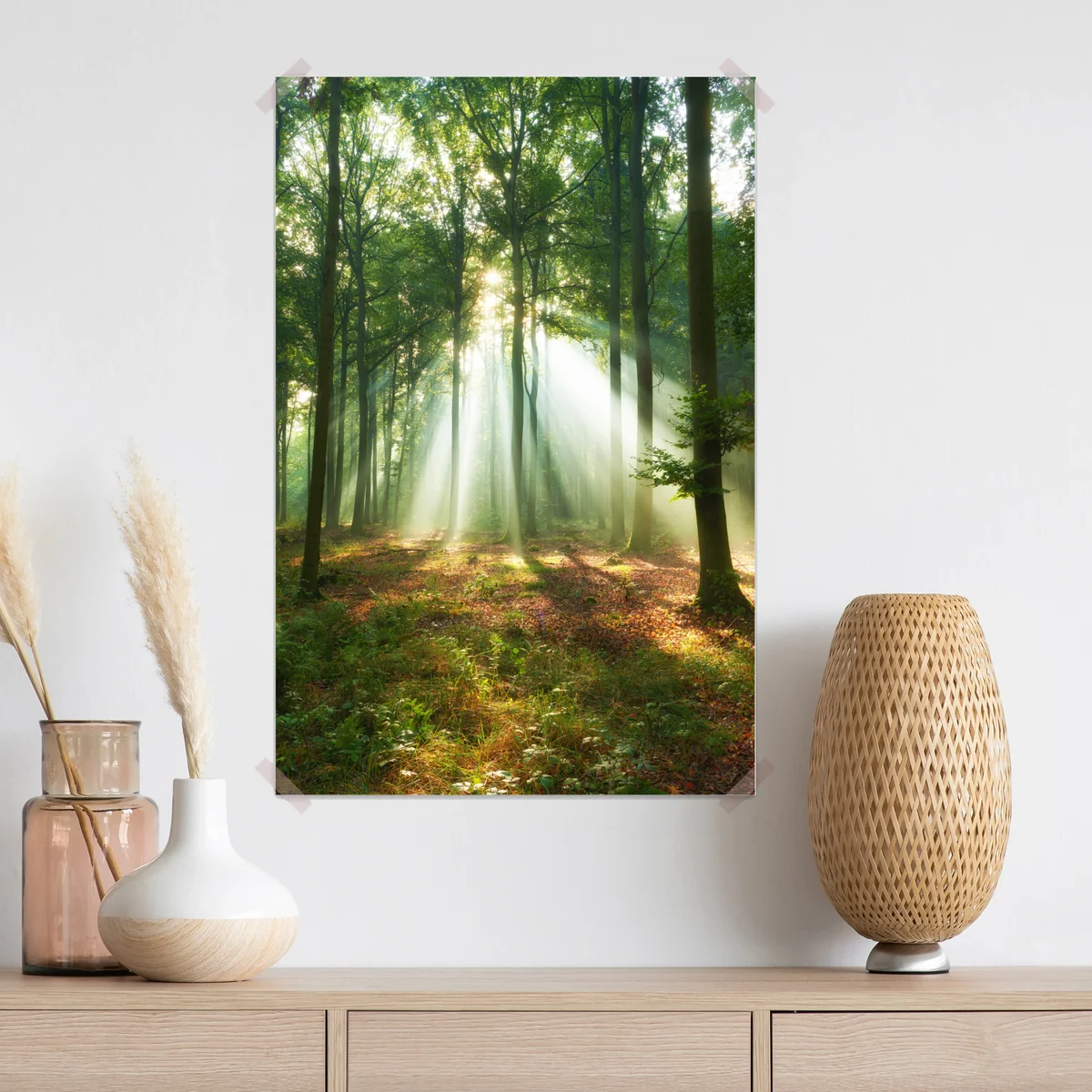 Poster morgendliches licht im wald Poster morgendliches licht im wald