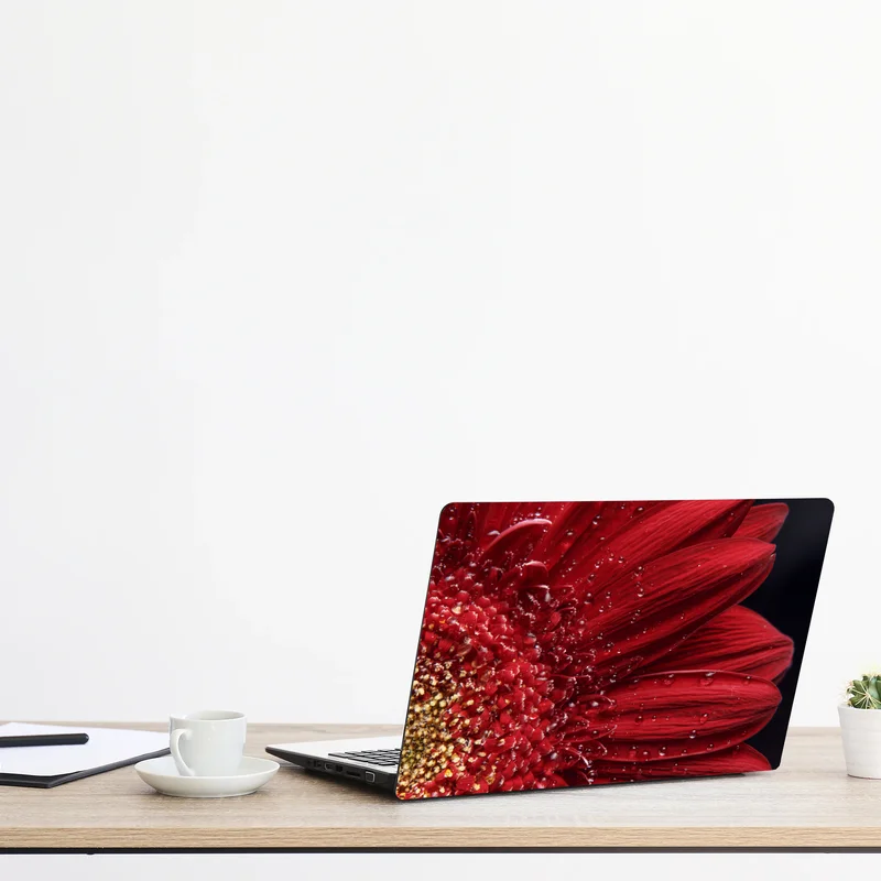 Laptop-Aufkleber rote gerbera makro mit wassertropfen Laptop-Aufkleber rote gerbera makro mit wassertropfen