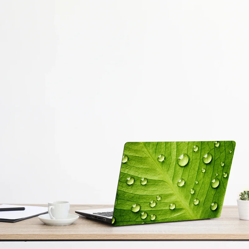 Naklejka na laptopa świeży zielony liść z kroplami wody Naklejka na laptopa świeży zielony liść z kroplami wody