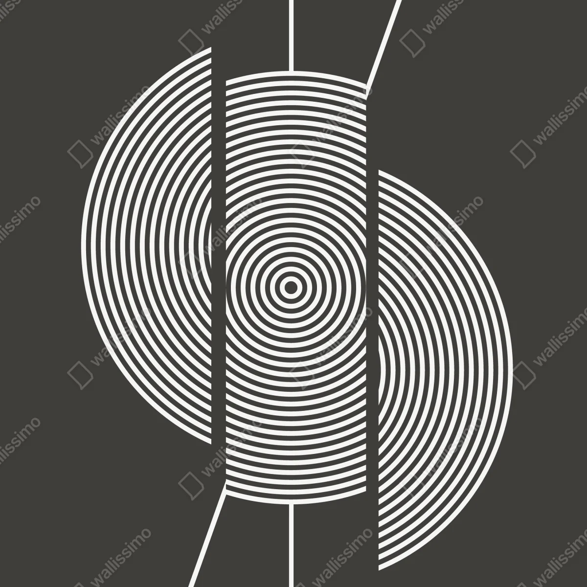 Poster monochrome komposition konzentrischer kreise • Poster bei Wallnifity® Poster monochrome komposition konzentrischer kreise • Poster bei Wallnifity®