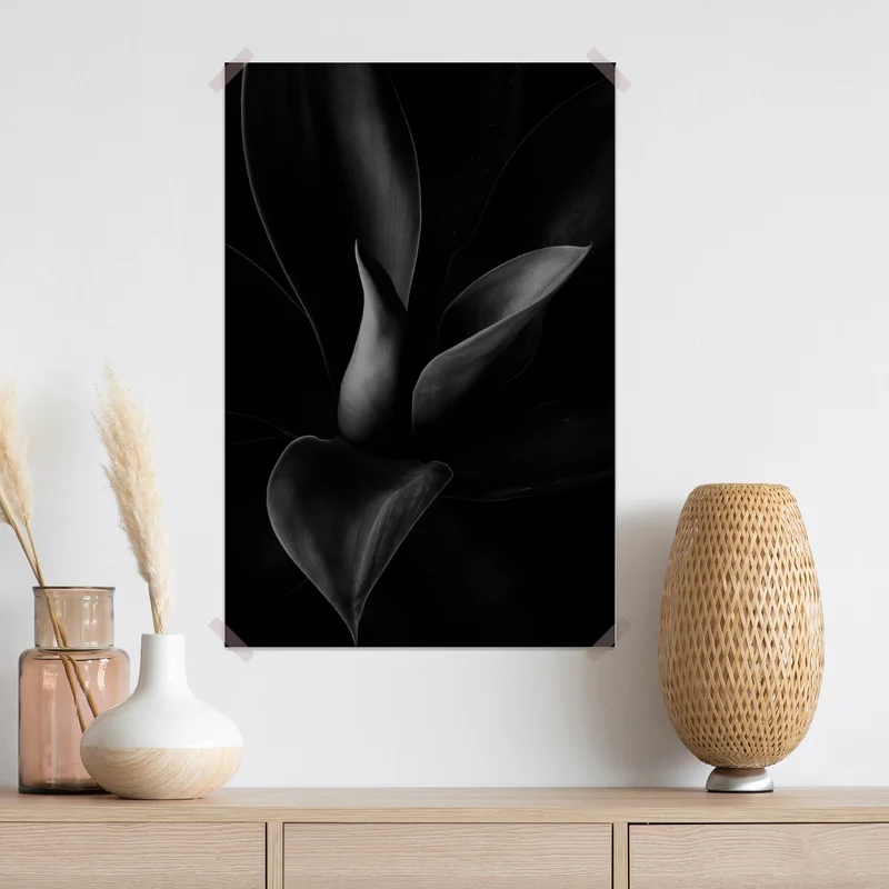 Poster monochrome nahaufnahme von blättern • Poster bei Wallnifity® Poster monochrome nahaufnahme von blättern • Poster bei Wallnifity®