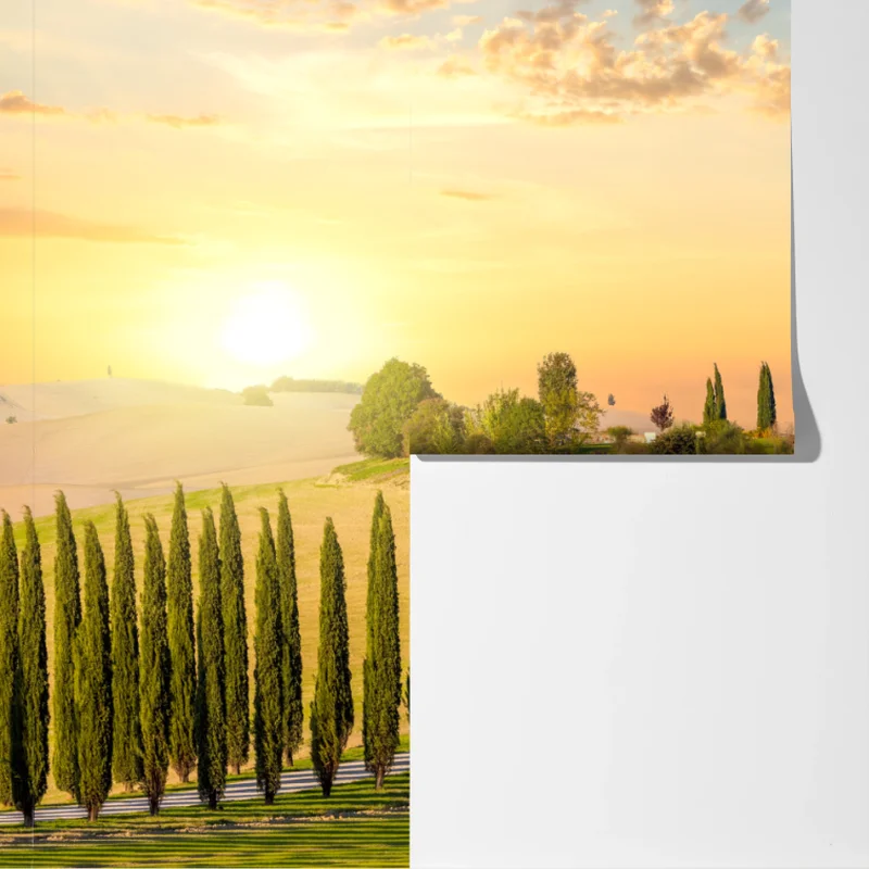 Fototapete Toskana sonnenuntergang zypressenallee Fototapete Toskana sonnenuntergang zypressenallee