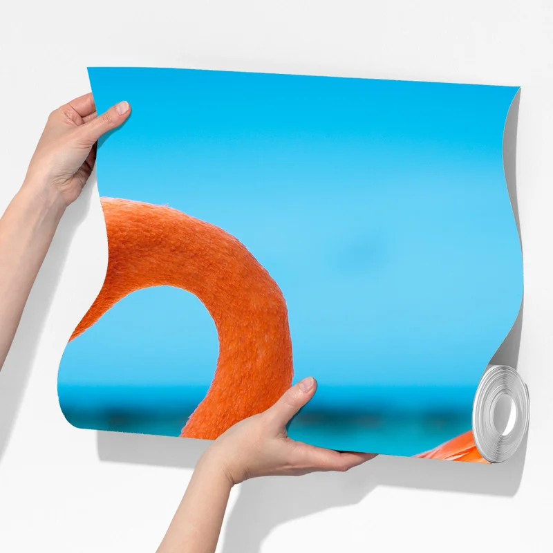 Fototapeta żywy różowy flaming na turkusowej plaży Fototapeta żywy różowy flaming na turkusowej plaży