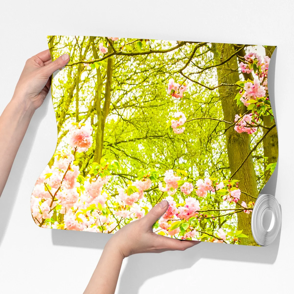 Fototapete frühlingsgarten in blüte: tulpen und kirschblüten Fototapete frühlingsgarten in blüte: tulpen und kirschblüten