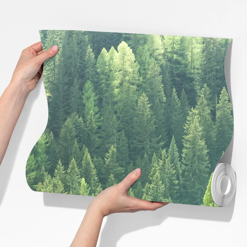 Fototapete üppige grüne waldpanorama Fototapete üppige grüne waldpanorama