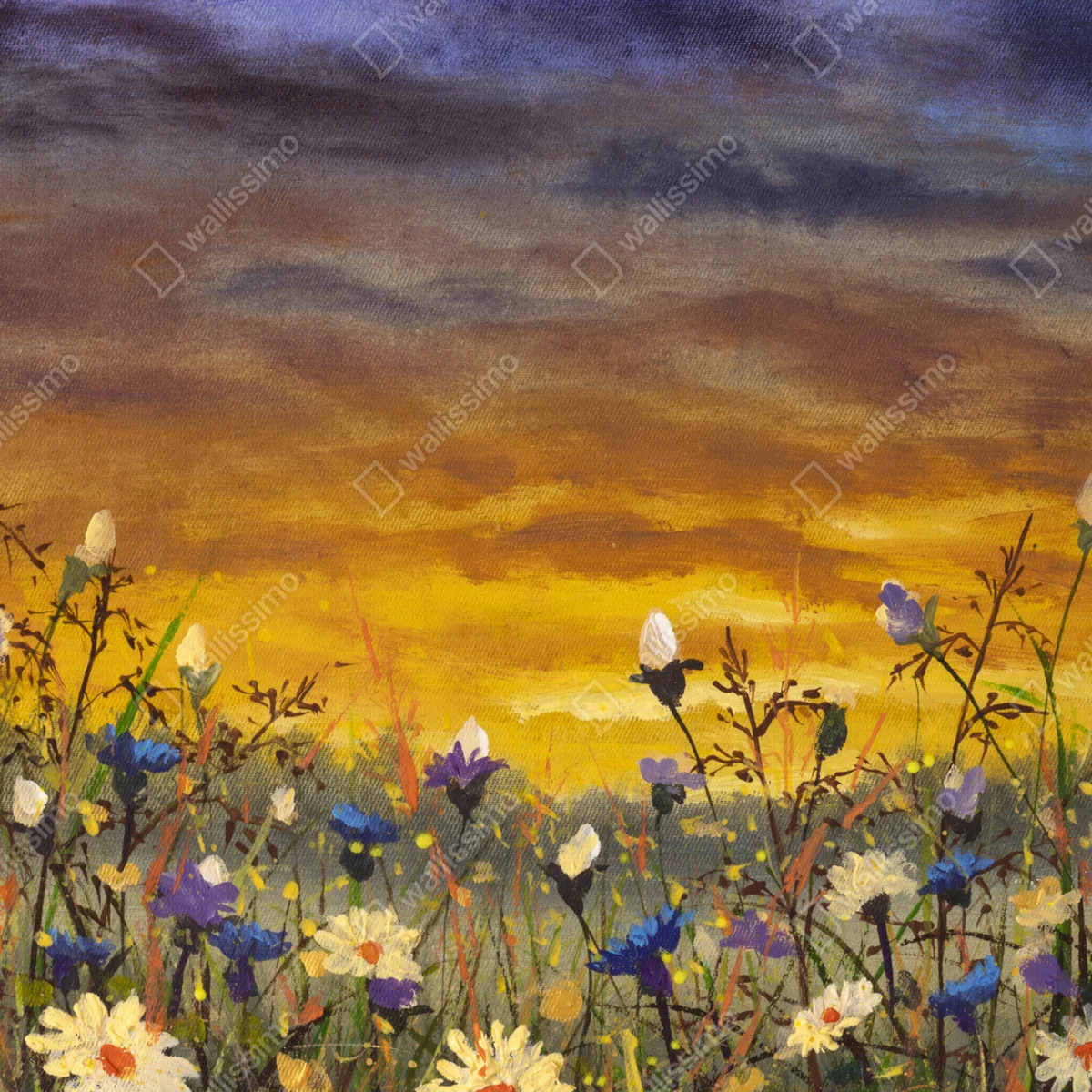 Poster sonnenuntergang auf einer wildblumenwiese mit gänseblümchen und kornblumen • Poster bei Wallnifity® Poster sonnenuntergang auf einer wildblumenwiese mit gänseblümchen und kornblumen • Poster bei Wallnifity®