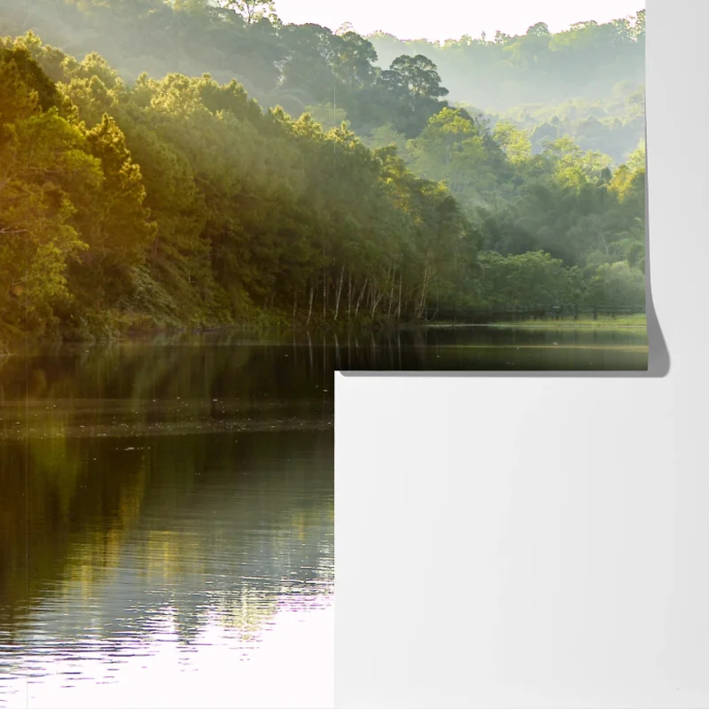 Fototapete ruhiger kiefernwald am stillen see Fototapete ruhiger kiefernwald am stillen see