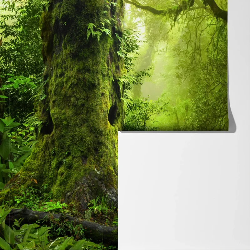 Fototapeta zaczarowany zielony leśny strumień Fototapeta zaczarowany zielony leśny strumień