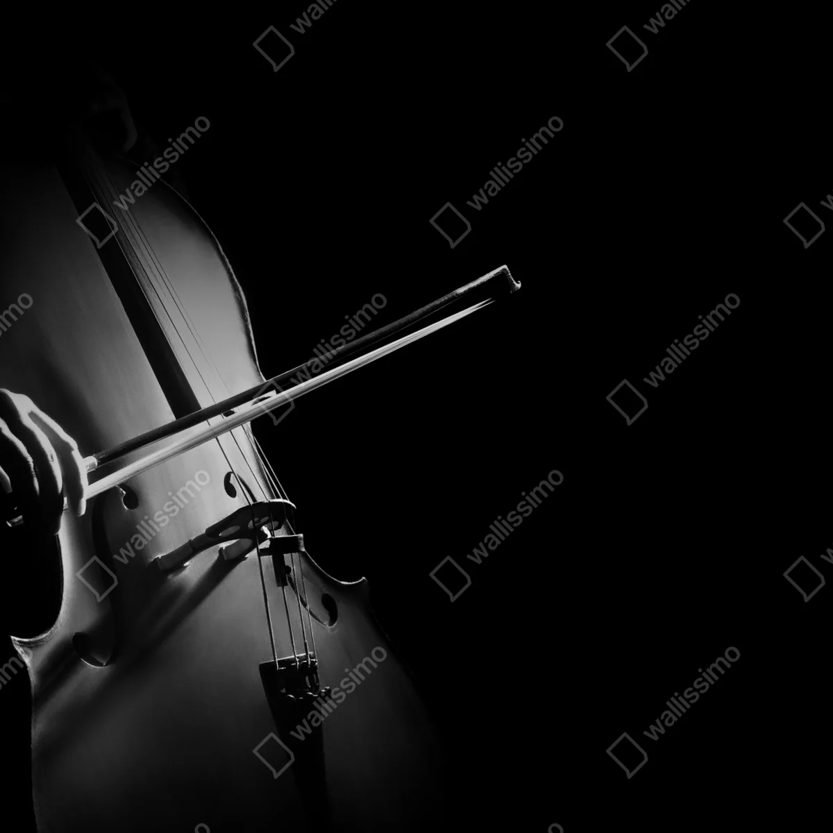 Leinwandbild elegantes cello in monochrom Leinwandbild elegantes cello in monochrom