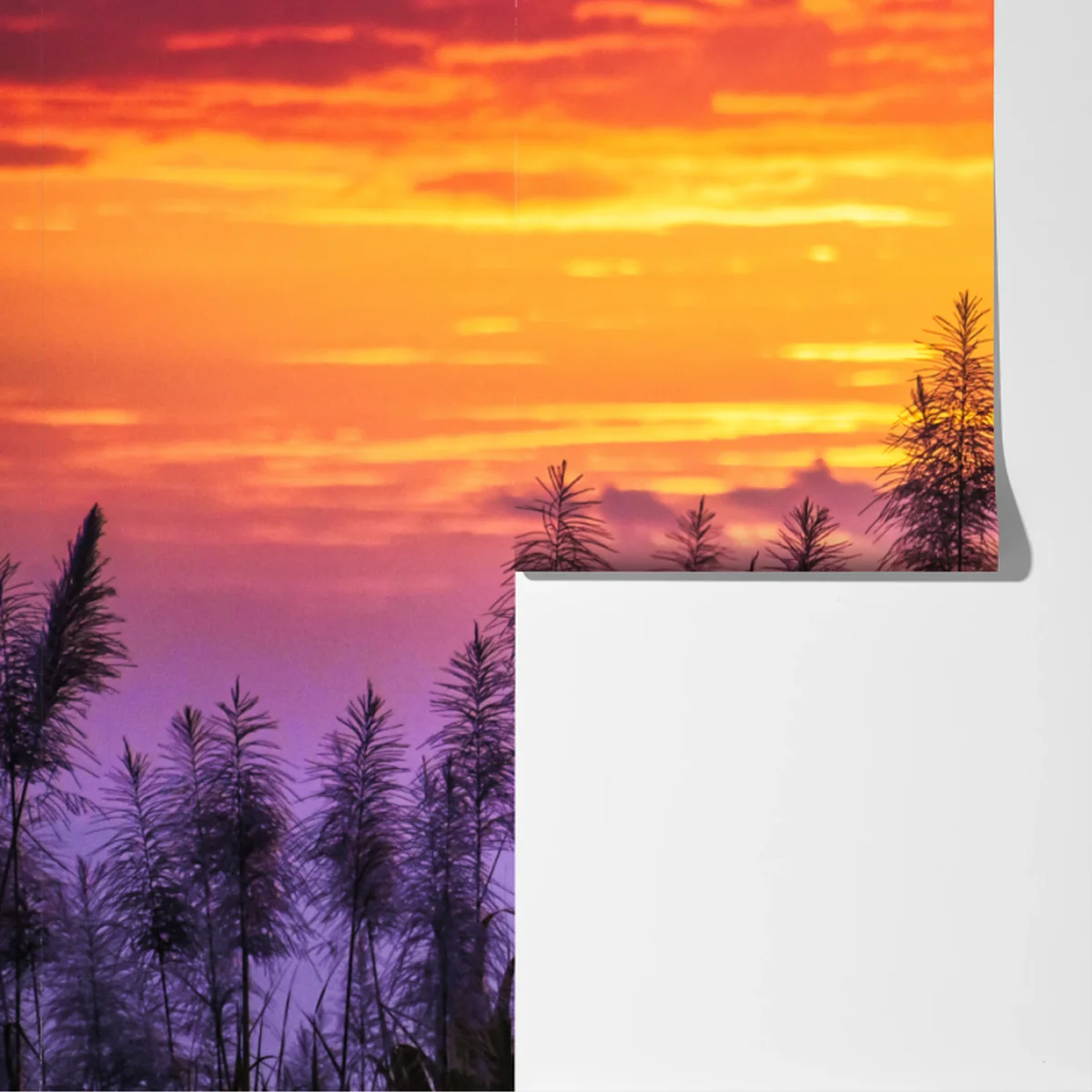 Fototapete goldener sonnenuntergang über wildgräsern Fototapete goldener sonnenuntergang über wildgräsern