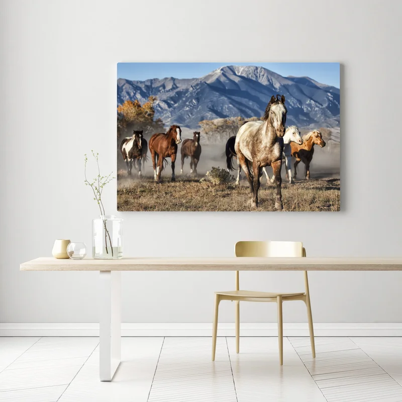 Leinwandbild wilde pferde galoppieren auf gebirgswiese Leinwandbild wilde pferde galoppieren auf gebirgswiese