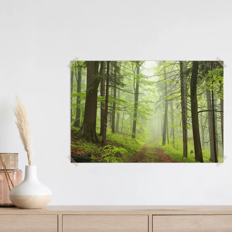 Poster nebliger grüner waldpfad Poster nebliger grüner waldpfad