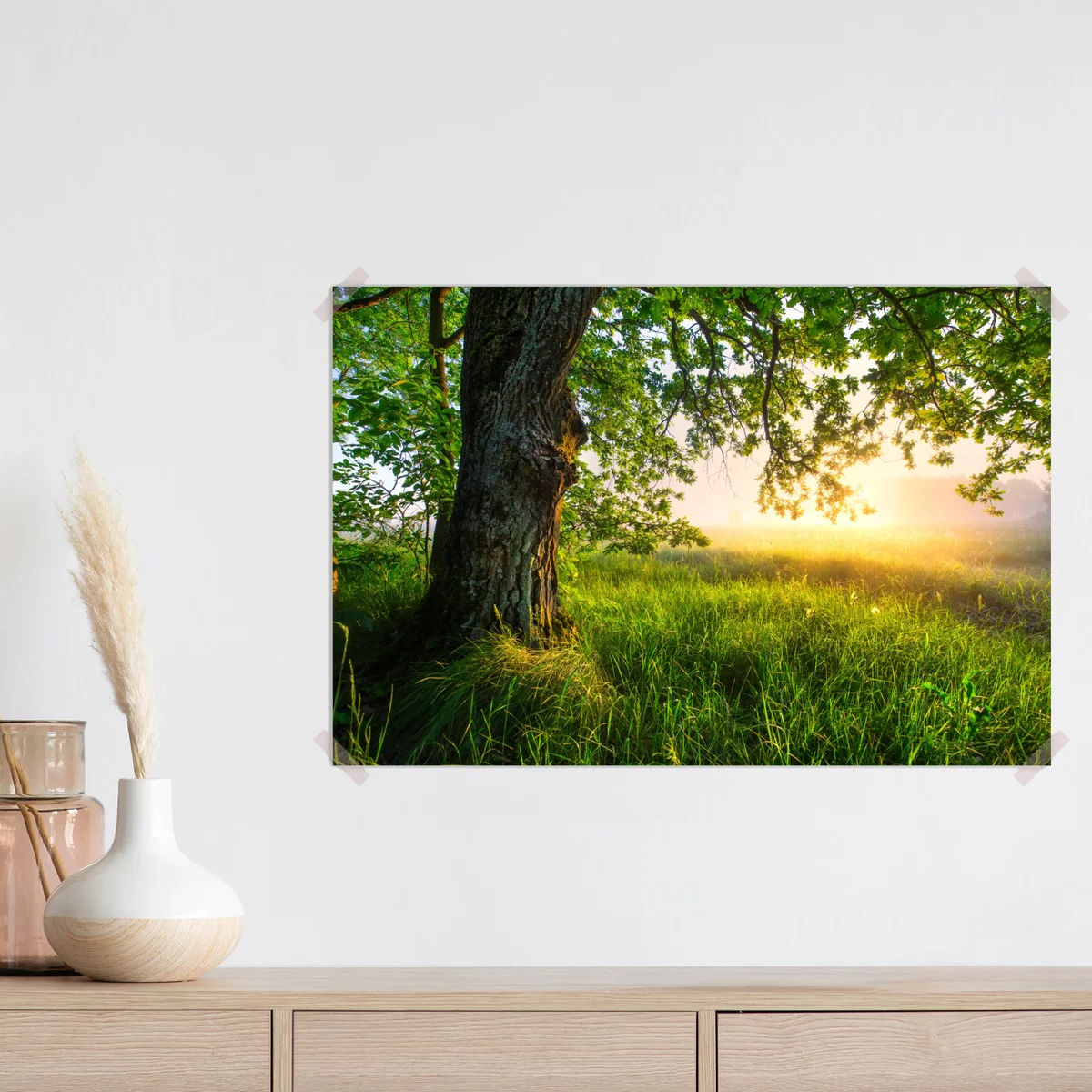 Poster morgendliche eiche auf sonnenbeschienener wiese Poster morgendliche eiche auf sonnenbeschienener wiese