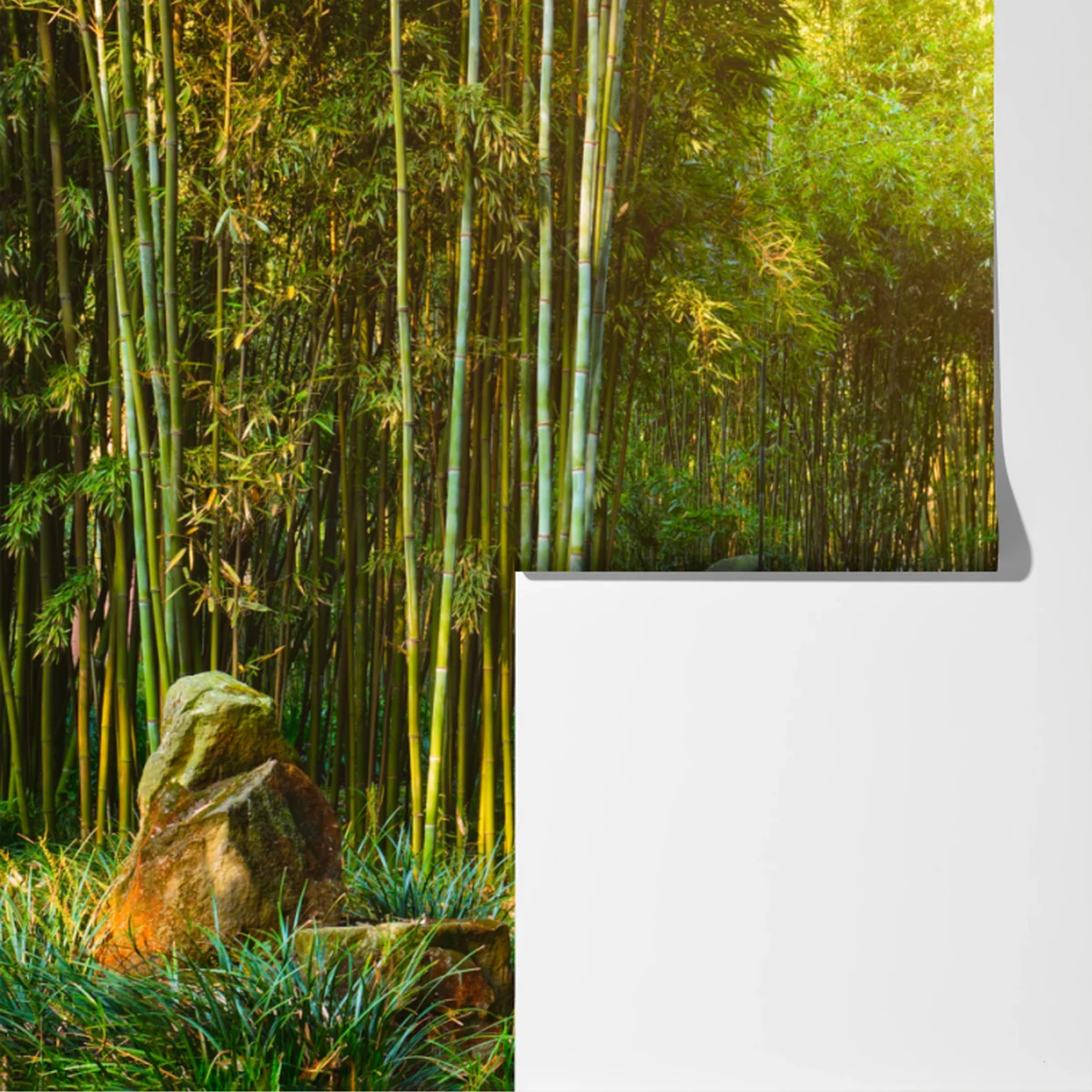 Fototapeta spokojna ścieżka w bambusowym lesie Fototapeta spokojna ścieżka w bambusowym lesie