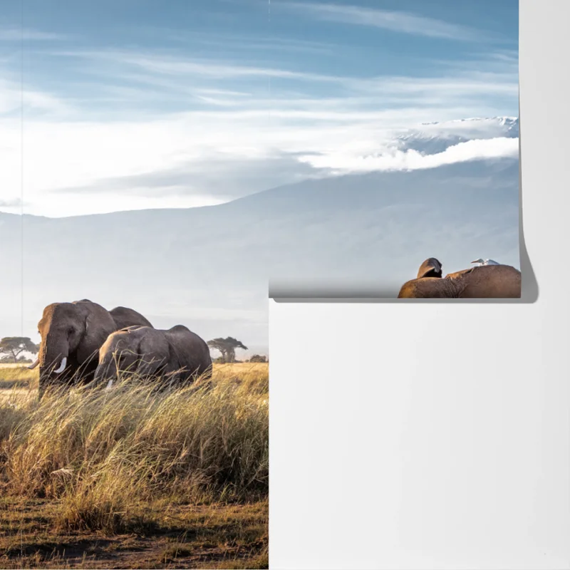 Fototapete elefantenherde vor Kilimandscharo Fototapete elefantenherde vor Kilimandscharo