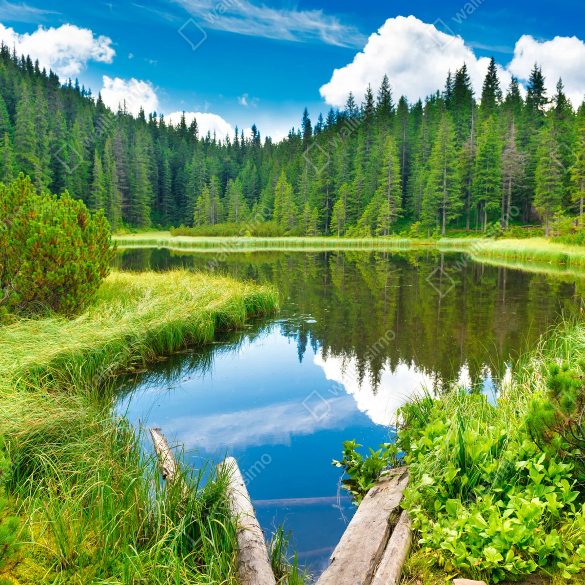 Repositionierbarer Aufkleber ruhiger waldsee mit hölzerner brücke Repositionierbarer Aufkleber ruhiger waldsee mit hölzerner brücke