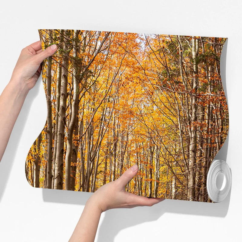 Fototapete herbstlicher waldweg mit goldenen blättern Fototapete herbstlicher waldweg mit goldenen blättern