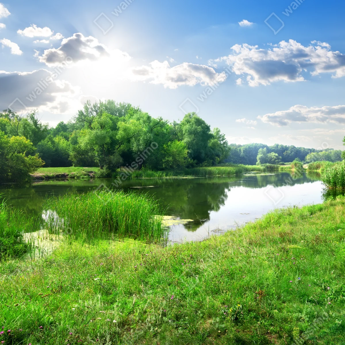 Repositionierbarer Aufkleber sonnige wiese am fluss Repositionierbarer Aufkleber sonnige wiese am fluss