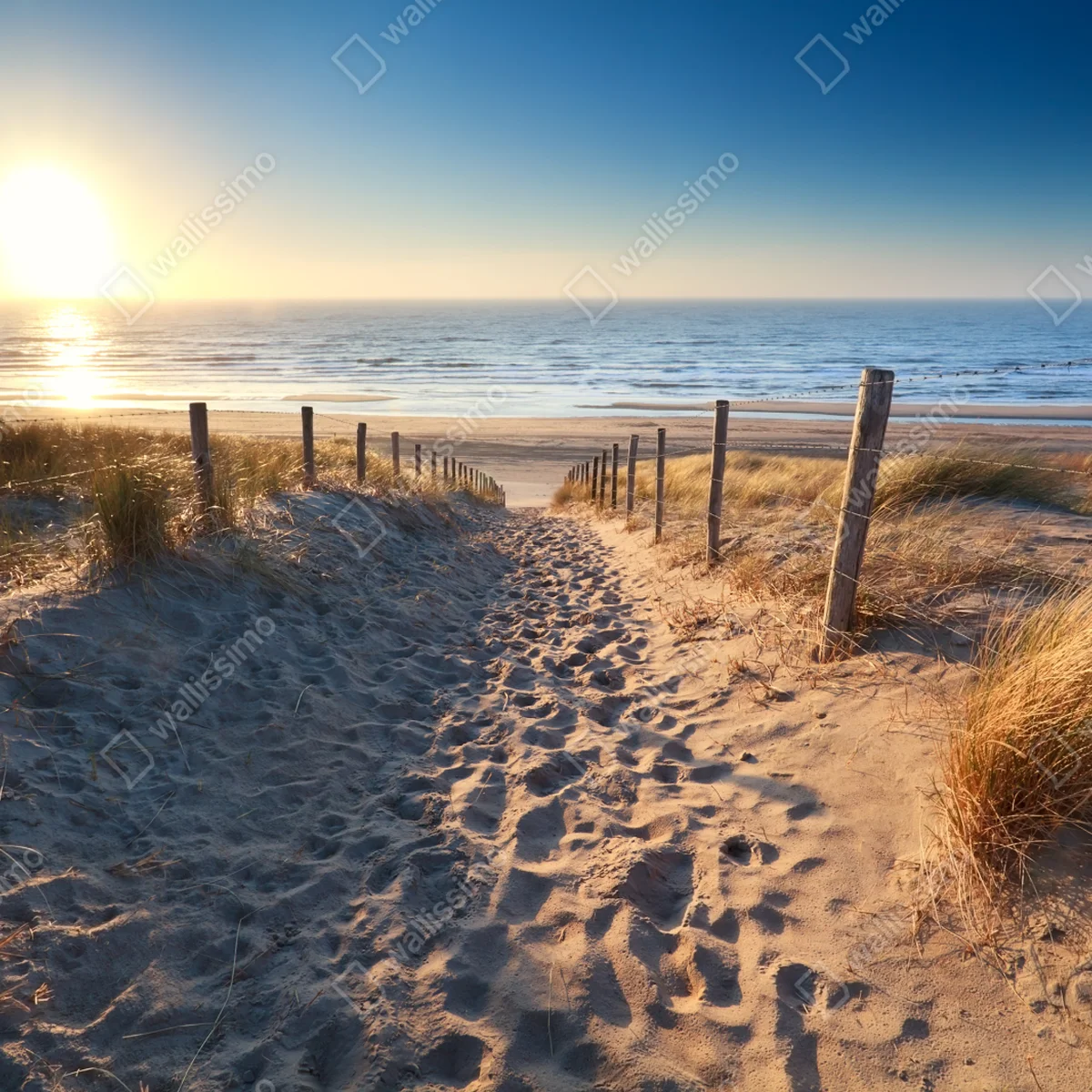 Fensteraufkleber sonnenuntergangspfad zum meer in Zandvoort Fensteraufkleber sonnenuntergangspfad zum meer in Zandvoort