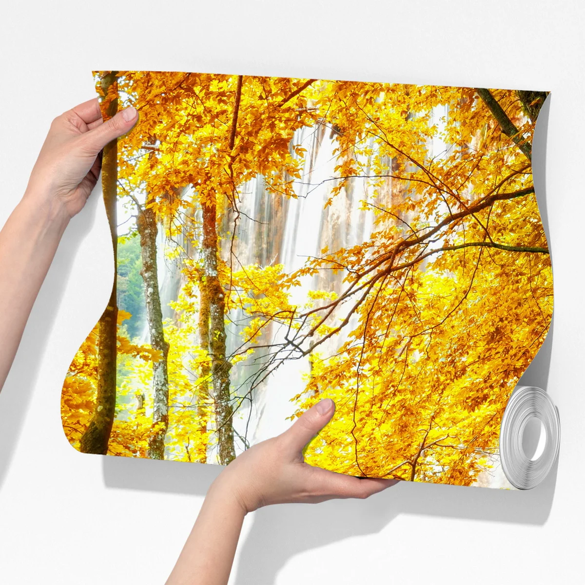 Fototapete goldener steg durch den wald bei Plitvicer Seen Fototapete goldener steg durch den wald bei Plitvicer Seen