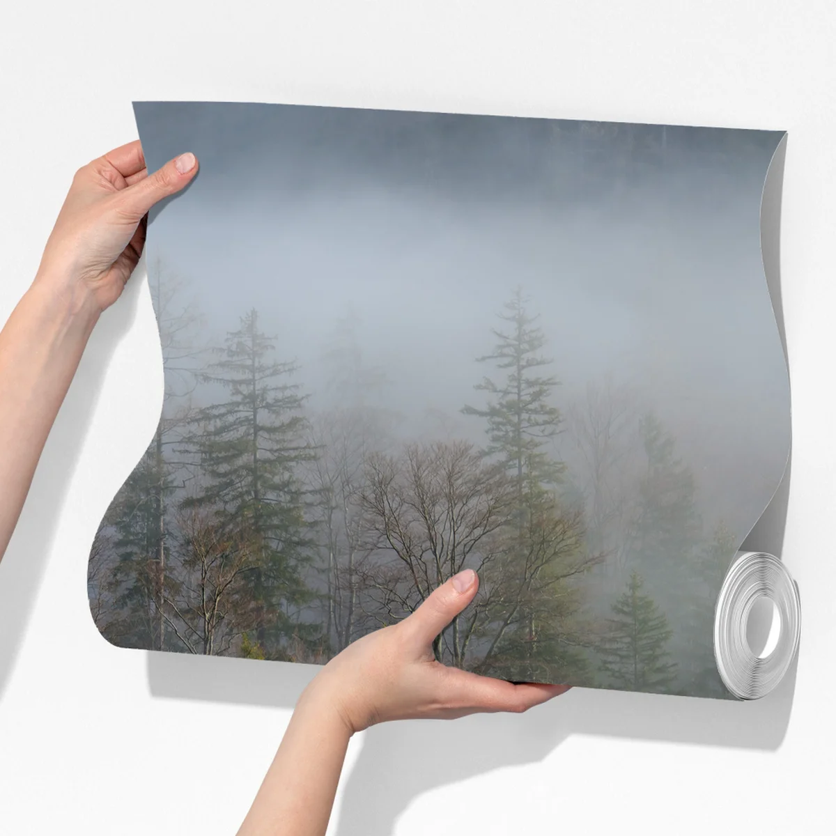 Fototapete nebliger bergwald Fototapete nebliger bergwald